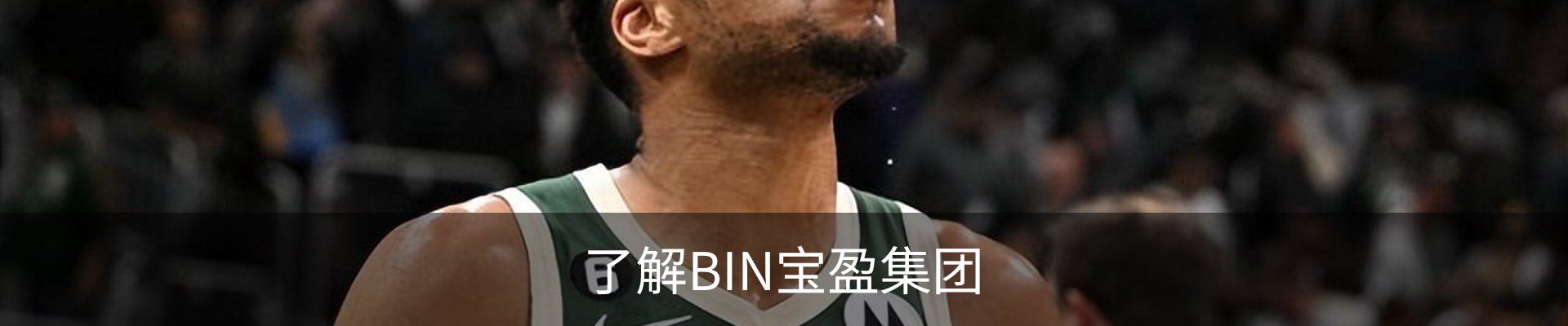了解BIN宝盈集团